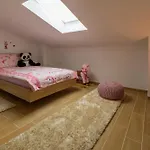 Kuca Ujdenica Vakantiehuis Grižane
