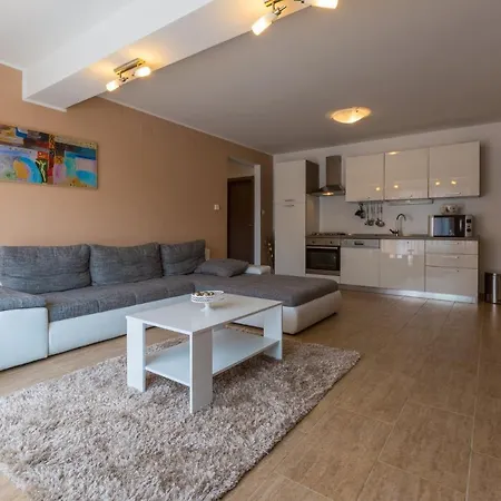 Kuca Ujdenica Holiday home