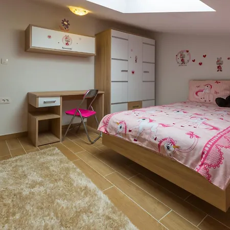 Kuca Ujdenica Holiday home